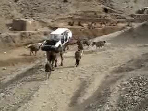 صورة
