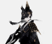 狐 15 Pixiv年鑑 B