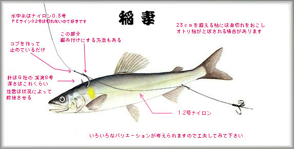 稲妻仕掛け