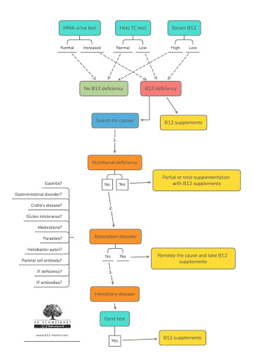 Vitamin B12 Absorption Diagram