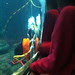 Watching the Diver