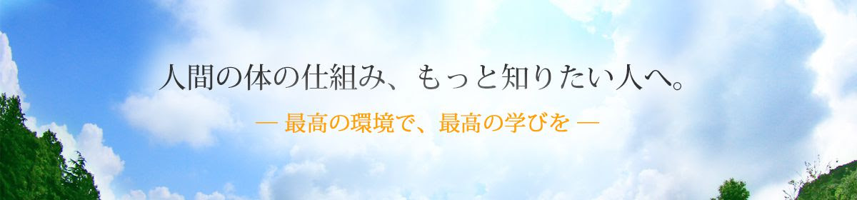 感想の一部 人体解剖実習 Human Body Dissection T S Create