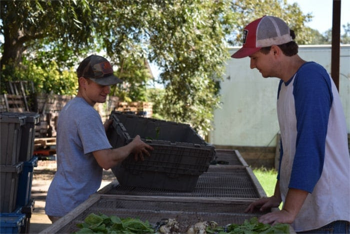 Local Business  The Austinot