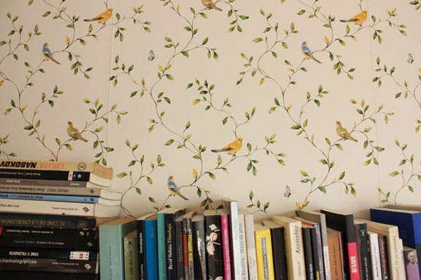 Empapelado de pájaros en la biblioteca de Jime y Fer. 