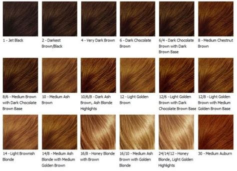  loreal hair color chart aelida