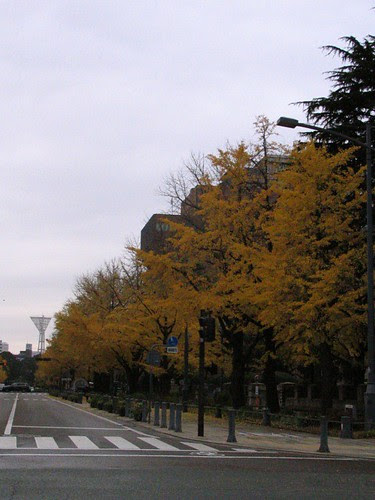 Jogging, sixth day