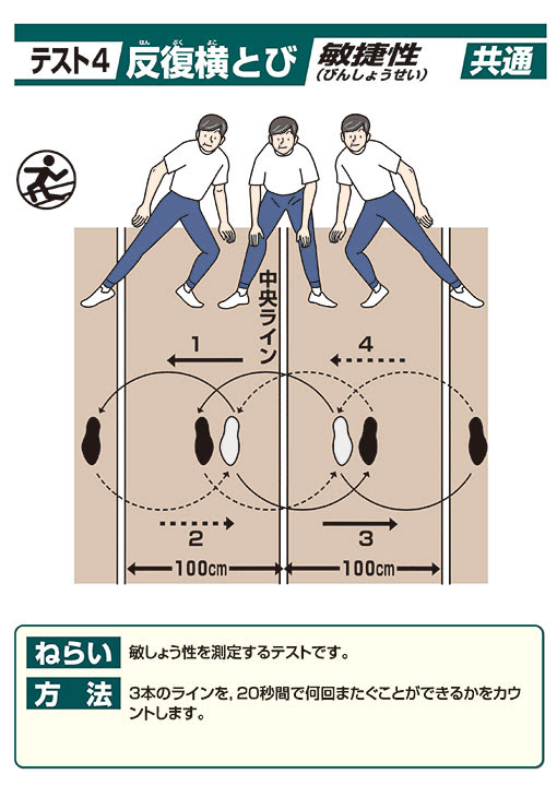 実施種目のご紹介 体力測定集計 分析システム 成人用 新体力テスト
