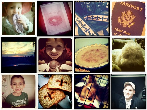 InstaGramCollage1 by StewMama