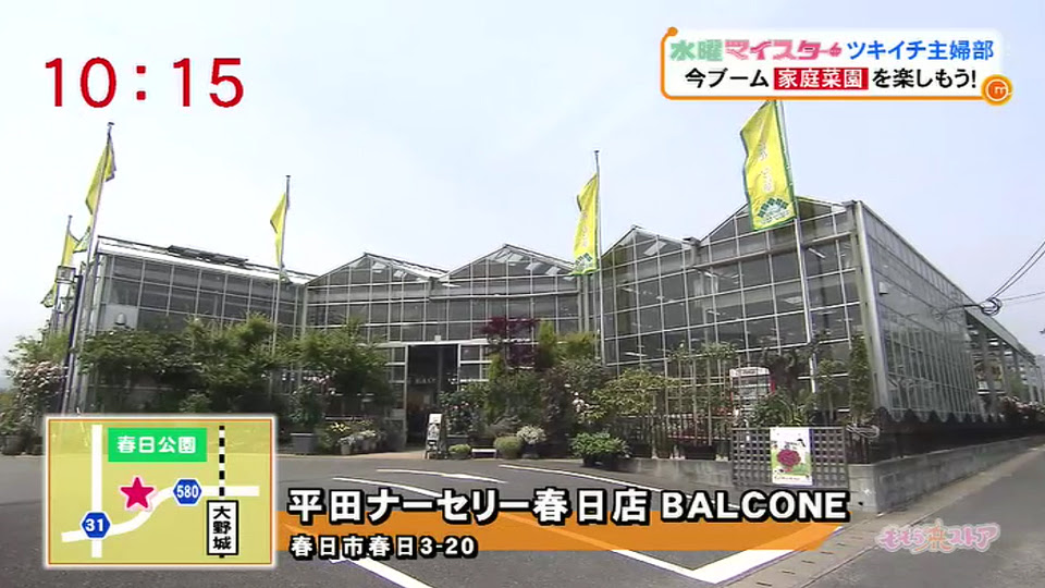 平田ナーセリー春日店 Balcone お店情報 ももち浜ストア番組公式サイト テレビ西日本