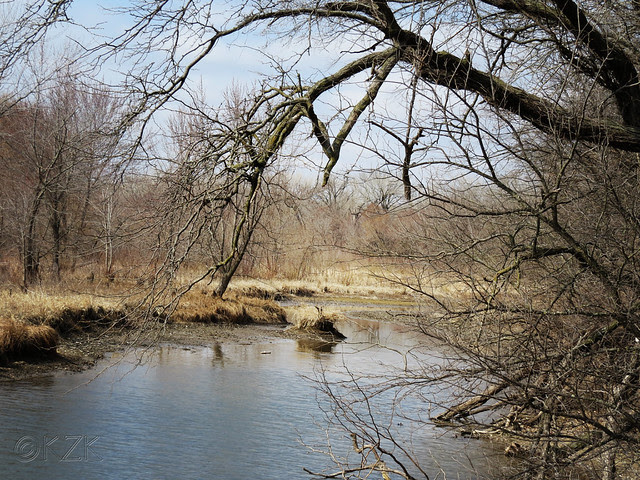 IMG_0959cps Tranquility