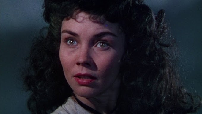 Guarda La volpe 1950 en lenea gratuito HD Gratis ITA HD