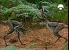 54 courting Incisivosaurus
