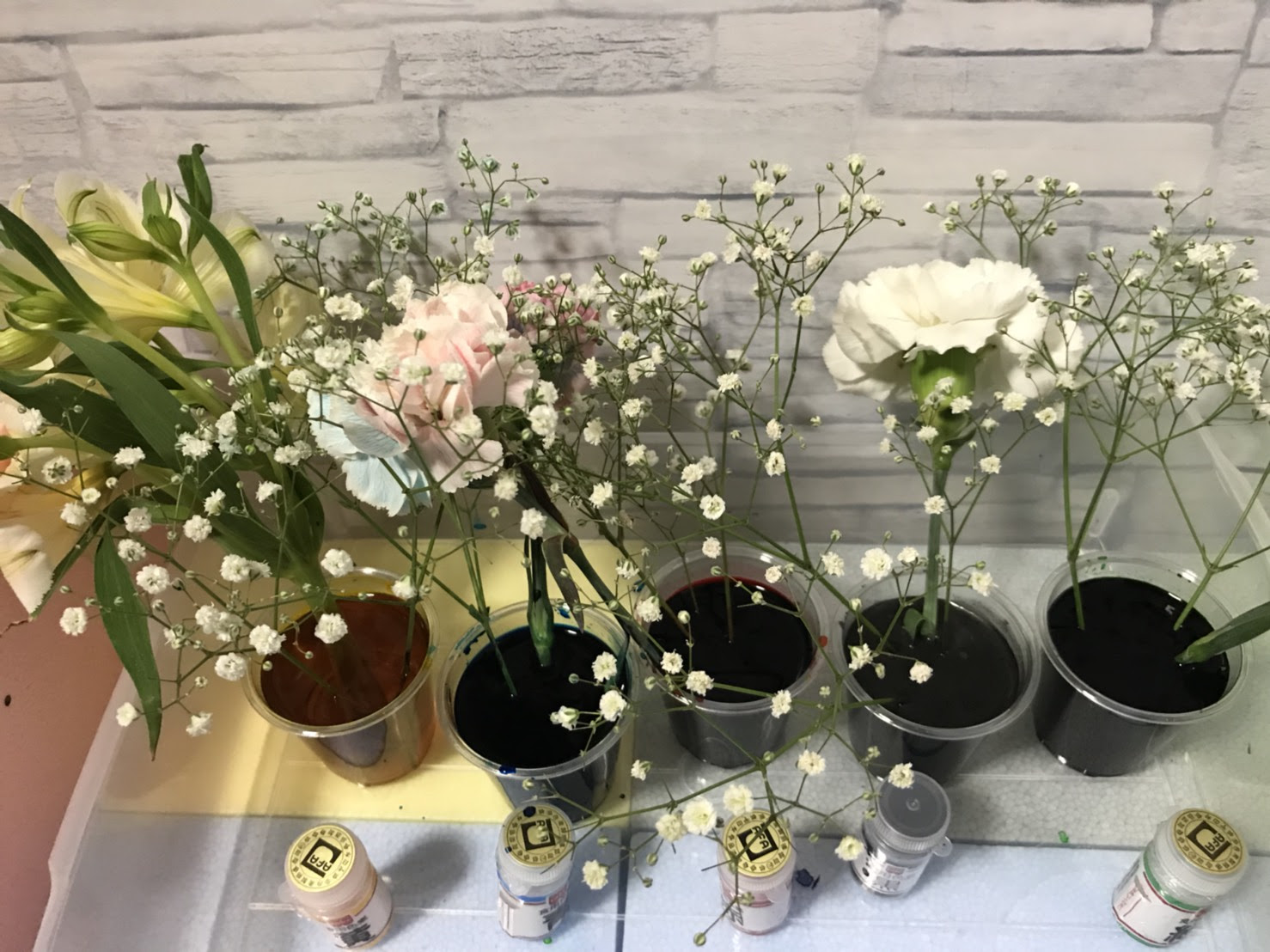 小学生夏休みの面白かった自由研究 食用色素を使い白い花に色をつける実験 実験動画あり 関西中学受験体験ブログ 目指せ中学受験 コッコとたぬりの大冒険 18年受験体験記22年受験を目指す過程をお伝えします