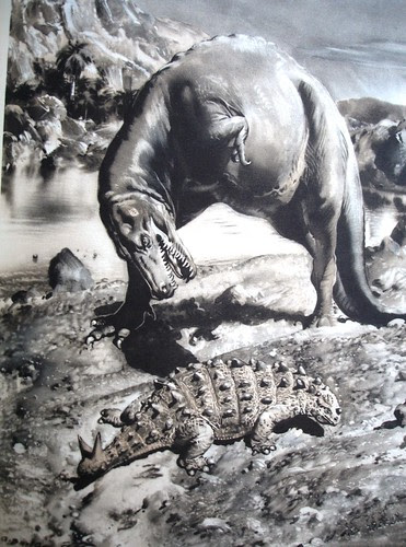 paleo 1-5 004