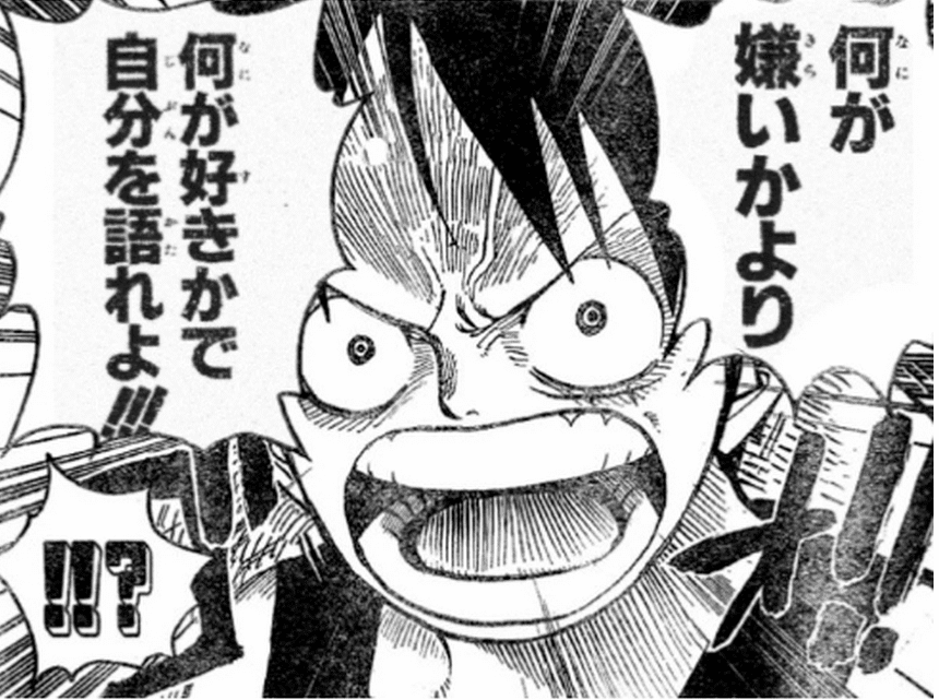 何が嫌いより 何が好きかで 自分を語れよ ワンピース