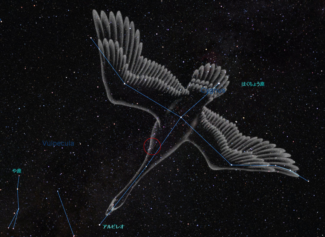 双眼鏡で見る夏の星空 白鳥のロザリオ 数珠 鎖とも呼ばれる はくちょう座