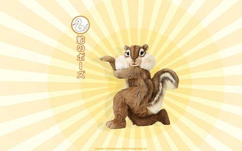 シュール可愛い ちょリス の 金運アップポーズ から目が離せない この夏の壁紙はこれに決まり ライブドアニュース