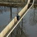 green design, eco design, sustainable design, sunken bridge, Cradle to Cradle Gold Certified, RO & AD, Netherlands, Moses Bridge, FSC wood, PEFC certified, Accys Technologies Accoya Wood, West Brabant Water line, Earthen fort, moat bridge