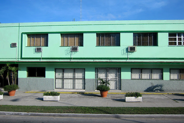 tidy mint green