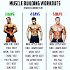 Best Training Program: Build Muscle Now