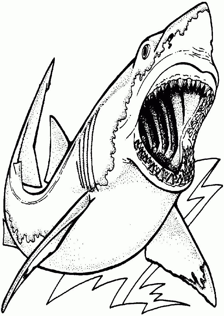 Download Free Printable Shark Coloring Pages - Coloring Home