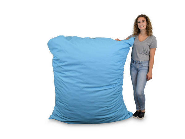 bean bag pillow small