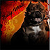 Bully All Radio Locations : Bully Radio Spotify Playlist / Some players have reported finding.