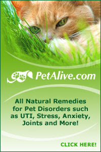 Learn about PetAlive natural remedies for pets!