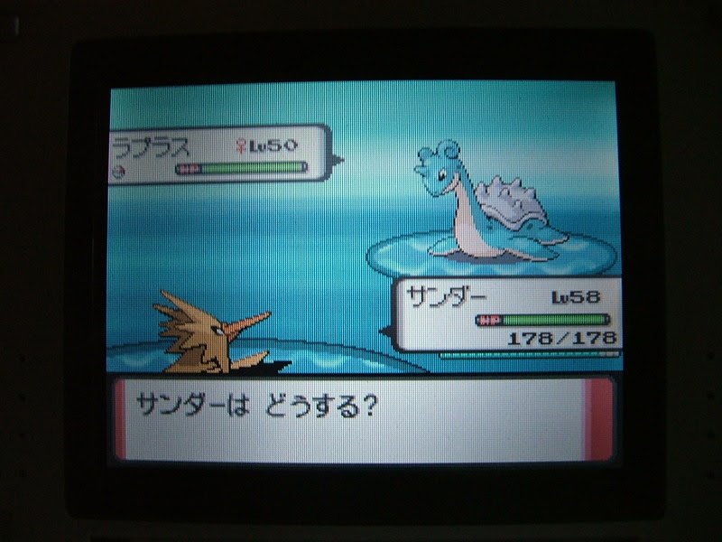 冒険 攻略日記 育成専門万事屋pokemon