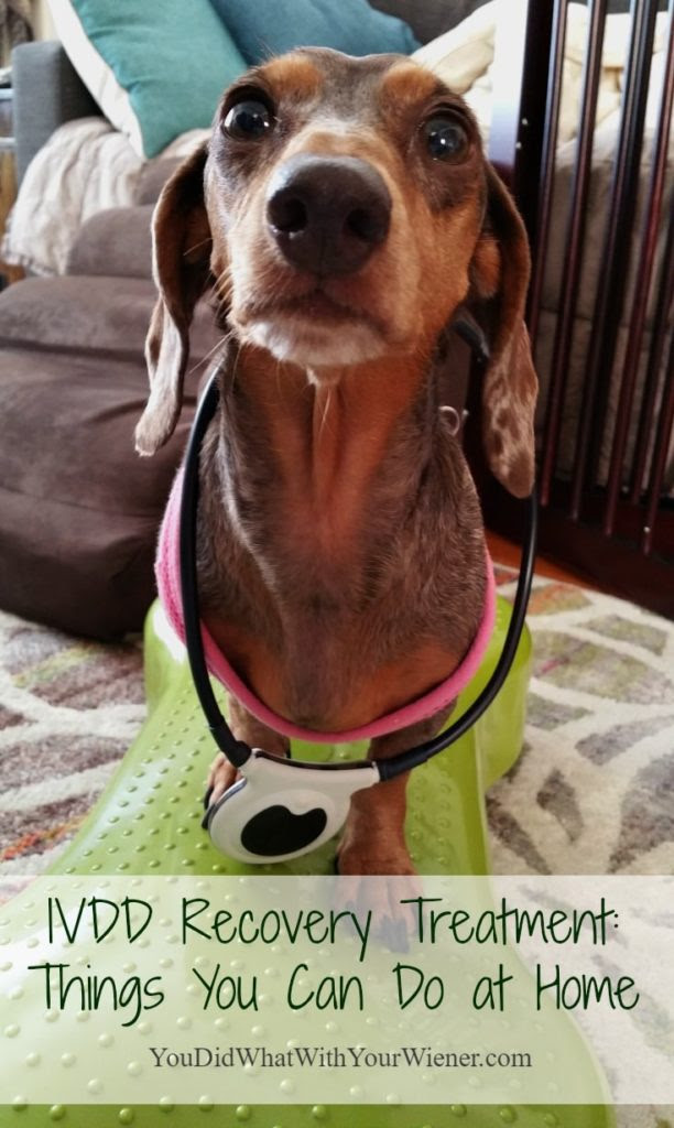 Things You Can Do at Home for Intervertebral Disk Disease