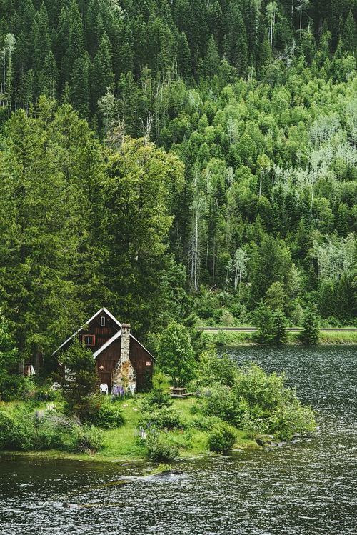 trip-to-the-nature: “ http://trip-to-the-nature.tumblr.com/ ”