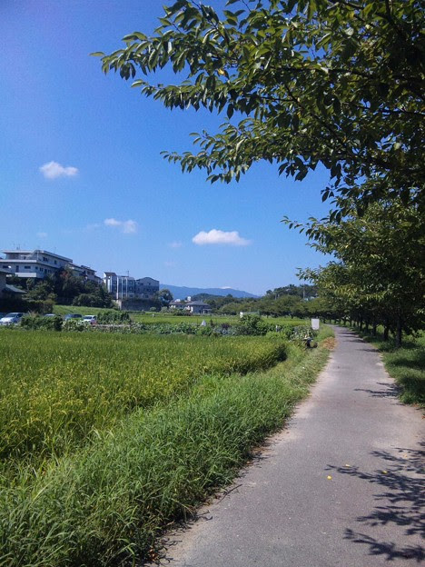 店の裏 癒しの景色 では走 写真共有サイト フォト蔵
