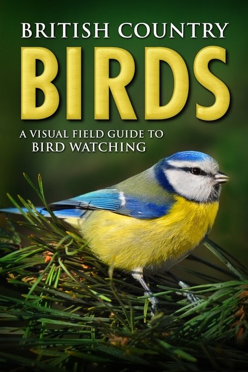 Filmek-HD British Country Birds: A Visual Field Guide to Bird Watching
2015 Teljes Film Magyarul Online Videa streaming online