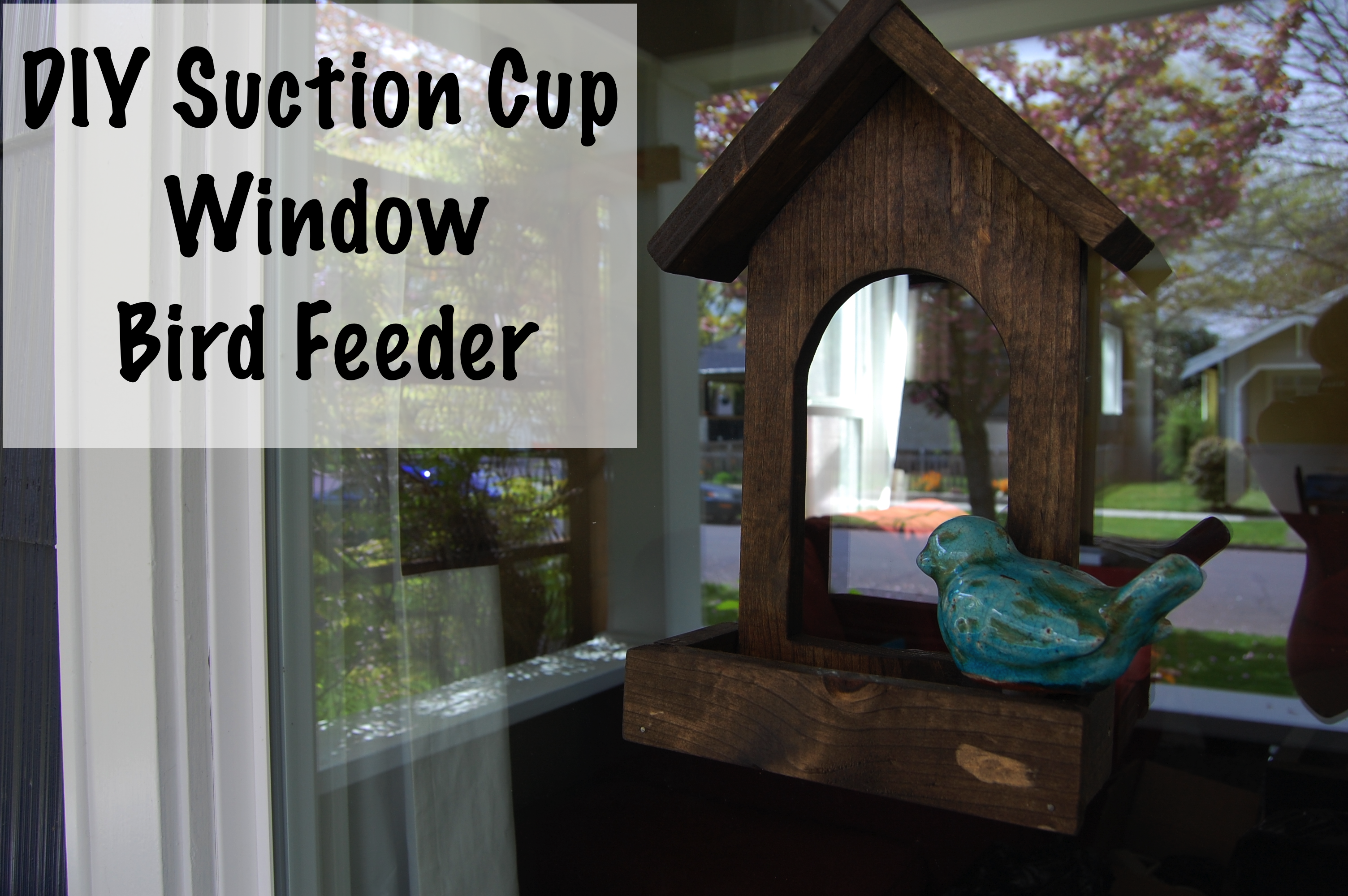 Bird Feeder Plans Images | TheCelebrityPix