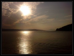 lipota kašuna