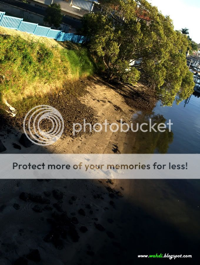 Image hosting by Imageshack.us