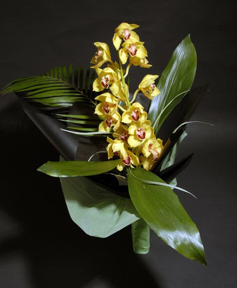 Death And Funeral Customs