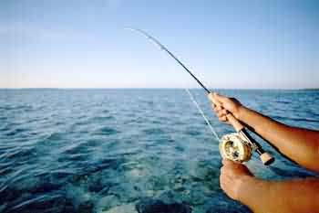 Fishing Deep  on Pemba Is Recommended To Experience Deep Sea Fishing In The Indian