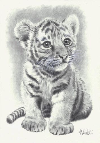 Free Drawings Of Animals Download Free Clip Art Free Clip Art On Clipart Library