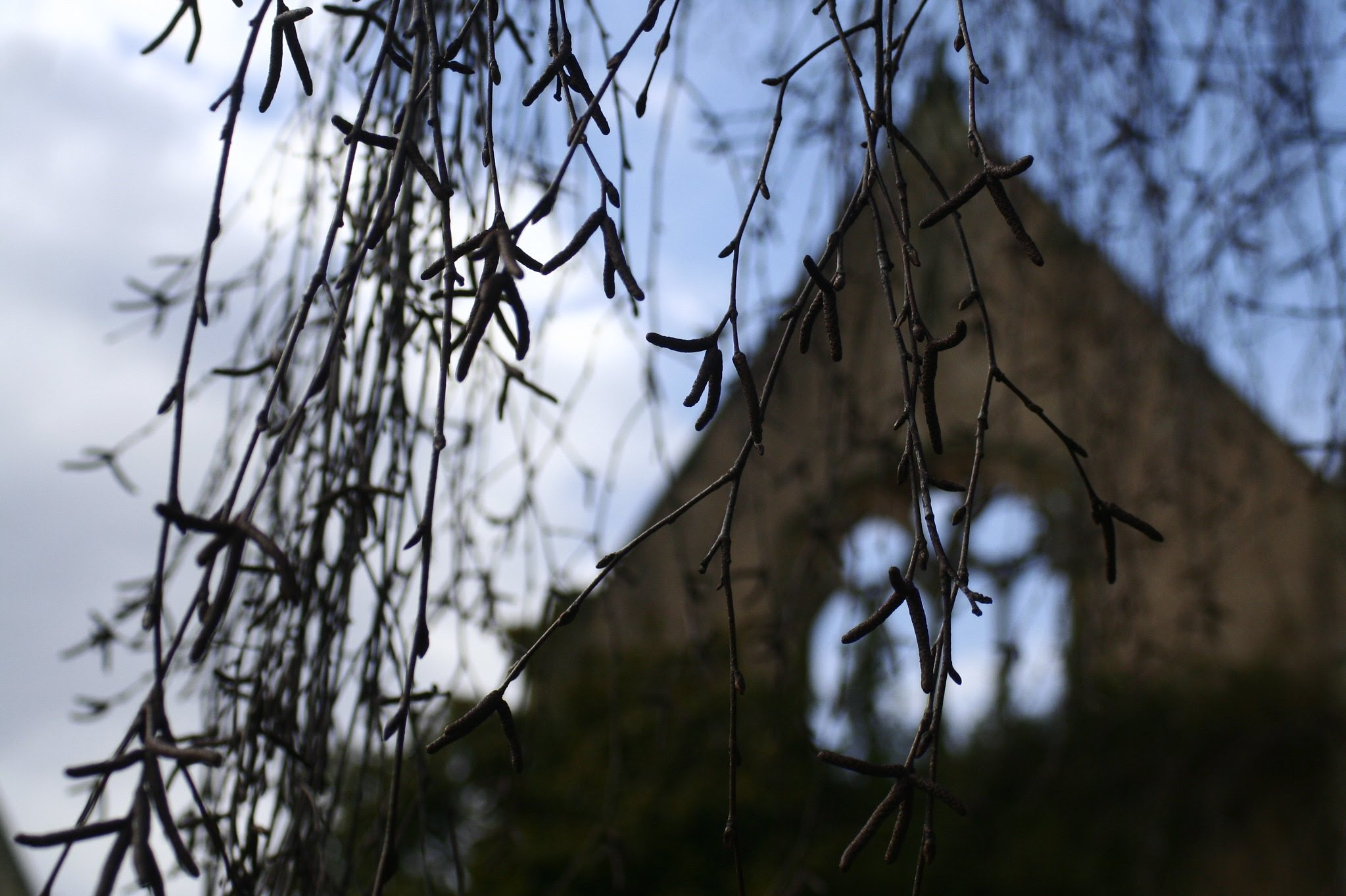 Nymans Gardens, West Sussex.