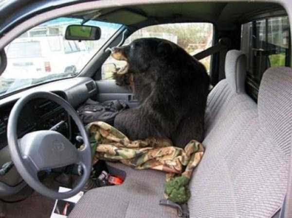 meanwhile-in-russia (18)
