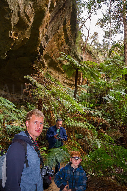 Valley of the Ferns
