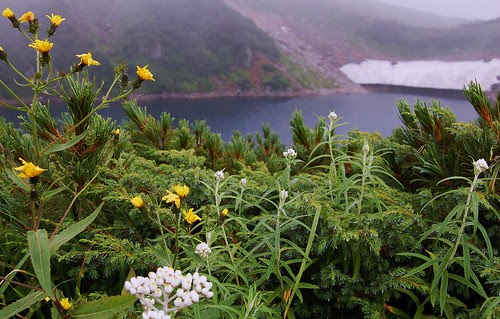 Mikurigaike (tateyama) by sunnybeauty