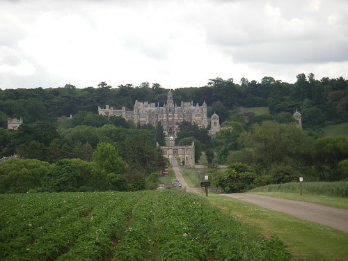 Harlaxton Drive