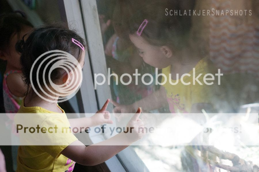  photo DSC_6395_zps47001c59.jpg