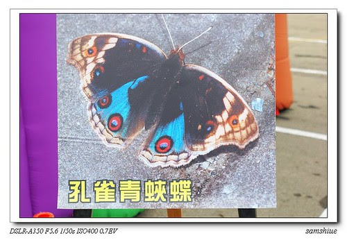 DSC01421_nEO_IMG