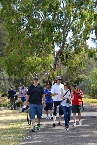 The Walkers