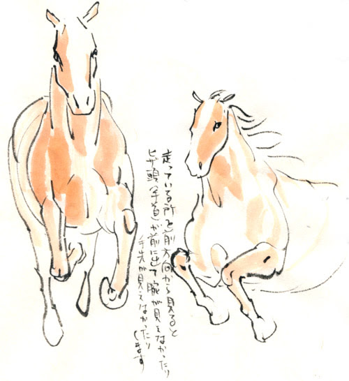 馬の描き方