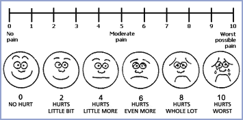 Putting a number on pain: A systems neuroscience approach ...