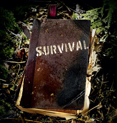 http://www.withoutruleoflaw.com/wp-content/uploads/2009/11/survival-425.jpg